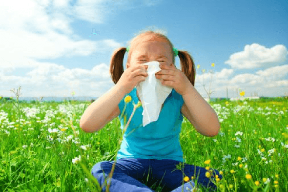 Kinesiologie gegen Allergien